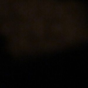 Meet your Posher, Sophia